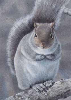 2nd Place - "Winter's Gray Squirrel" by Cheryl Plautz, Hartford WI - Acrylic, SOLD